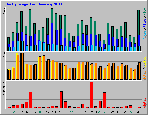 Daily usage for January 2011