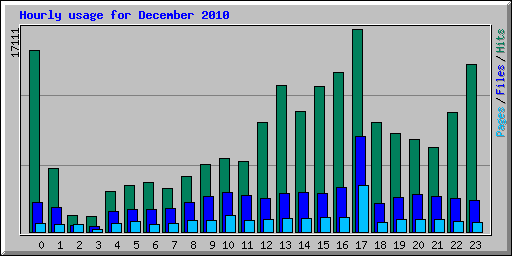 Hourly usage for December 2010