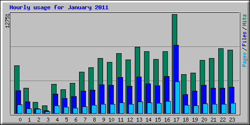 Hourly usage for January 2011