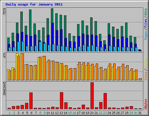 Daily usage for January 2011