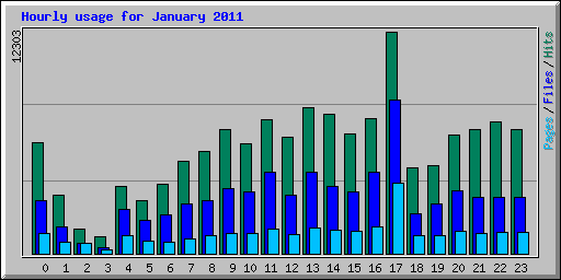 Hourly usage for January 2011